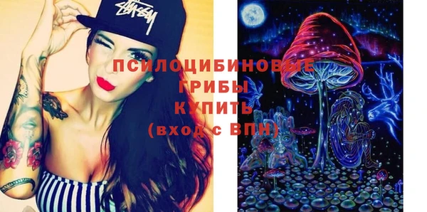 спиды Яровое