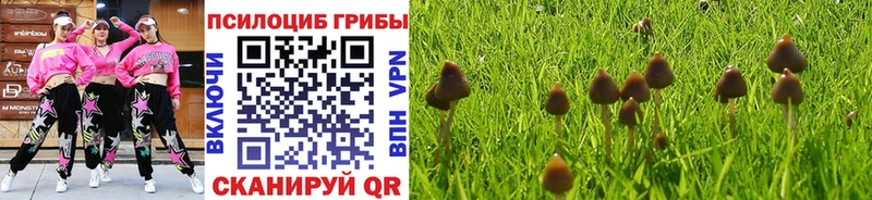 Купить  Рославль  Псилоцибиновые грибы мухоморы 